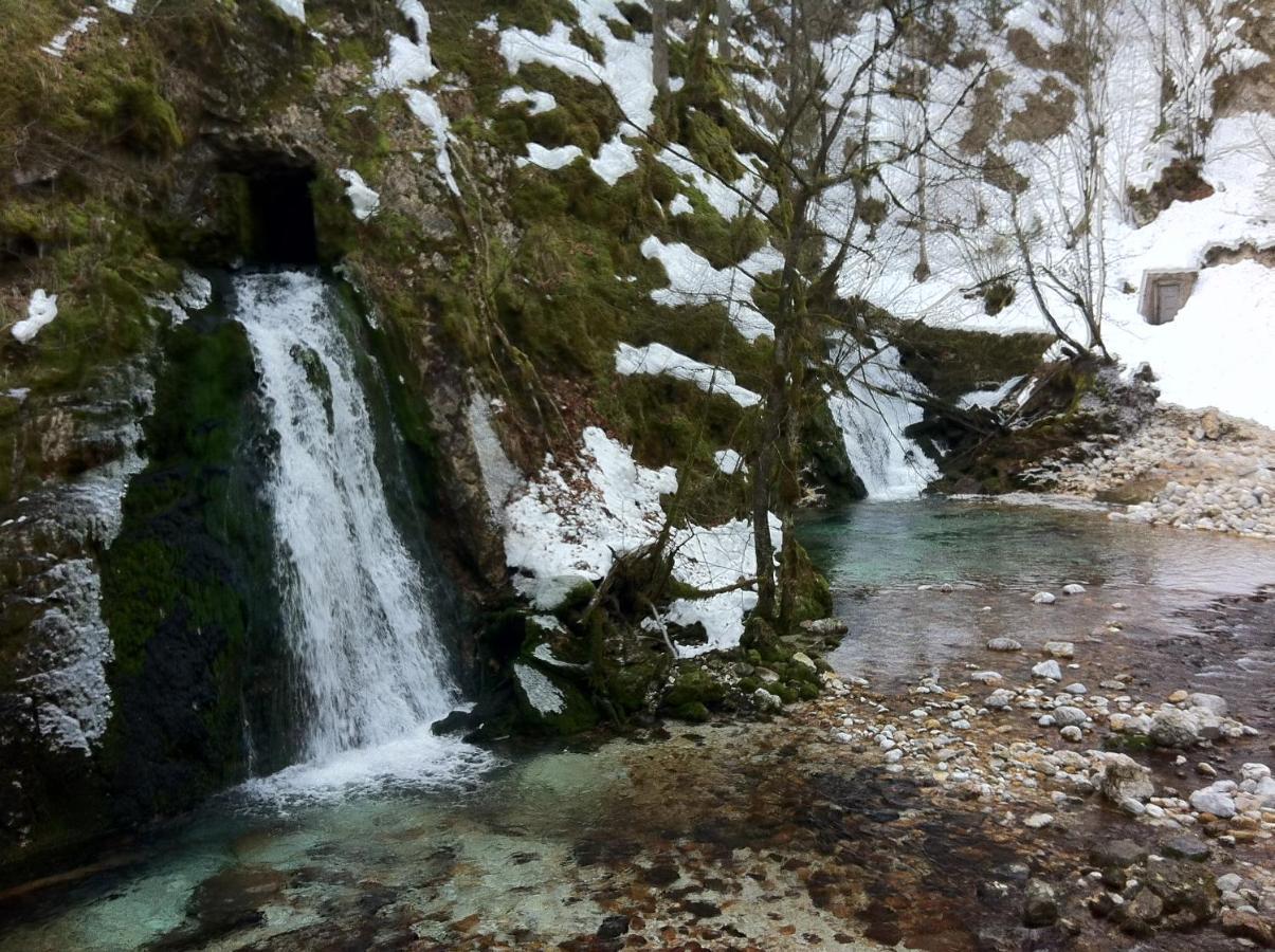 Bistrica 1 Διαμέρισμα Bohinj Εξωτερικό φωτογραφία